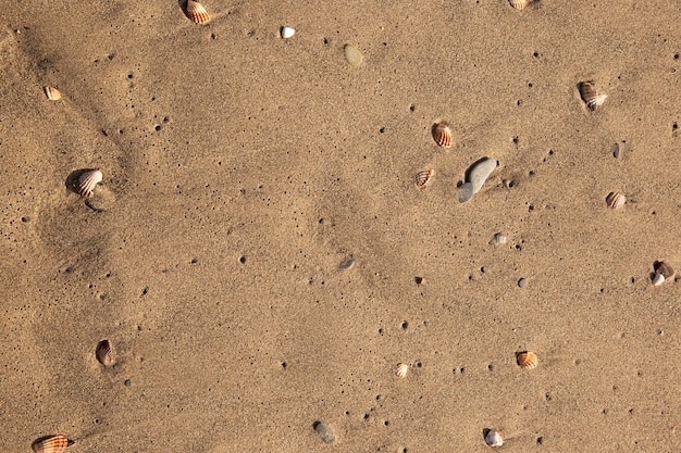 Primer plano sobre el detalle de la textura del suelo