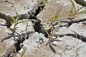 Foto gratuita primer plano de un suelo agrietado