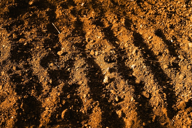 Primer plano de suelo de campo marrón con pequeñas piedras visibles
