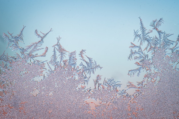 Foto gratuita primer plano de una superficie helada durante el invierno