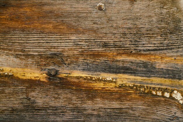 Primer plano de tablón de madera con clavos