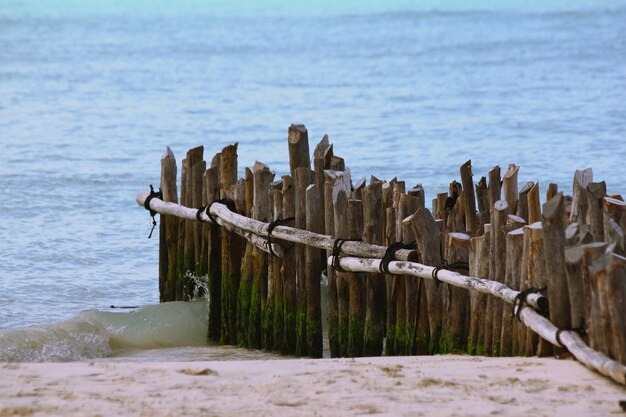 Primer plano de tablones de madera verticales de un muelle inacabado en la playa rodeada por el mar