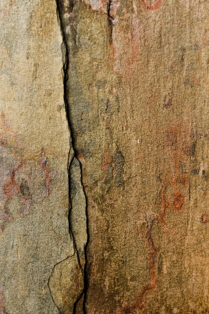 Primer plano de tablones de madera vieja agrietada