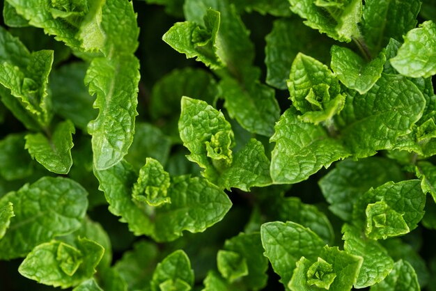 Primer plano de textura en comida deliciosa