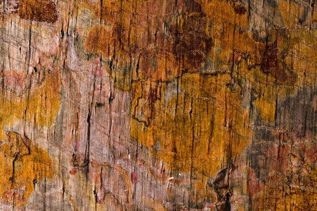 Primer plano de textura de madera oxidada