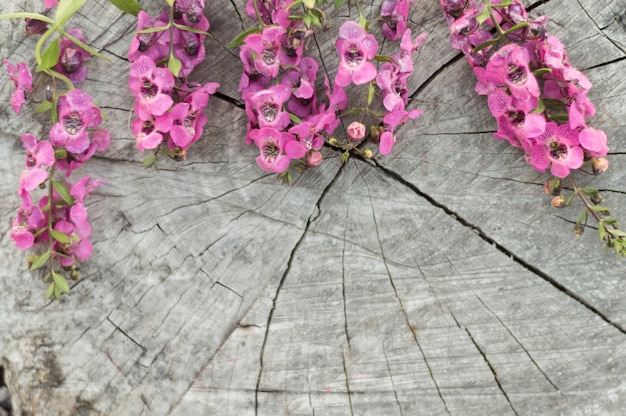 Foto gratuita primer plano de tocón con flores moradas