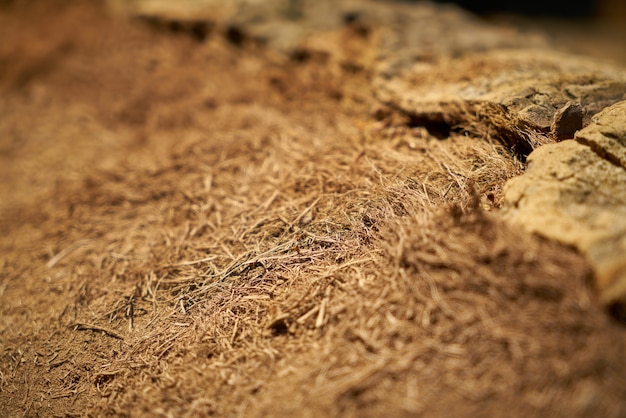 Primer plano de trozos de madera