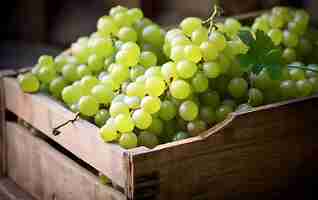 Foto gratuita primer plano de las uvas, frutas de temporada para el invierno.