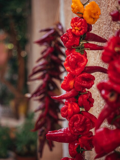 Primer plano vertical de diferentes chiles rojos secos colgados en la pared de hormigón