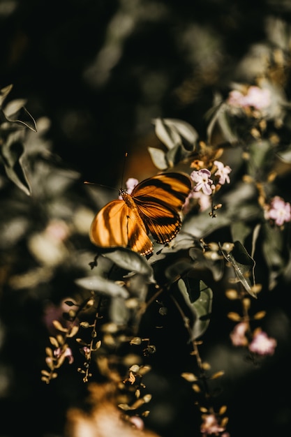 Primer plano vertical de una mariposa rayada negra descansando sobre una planta verde con flores rosas