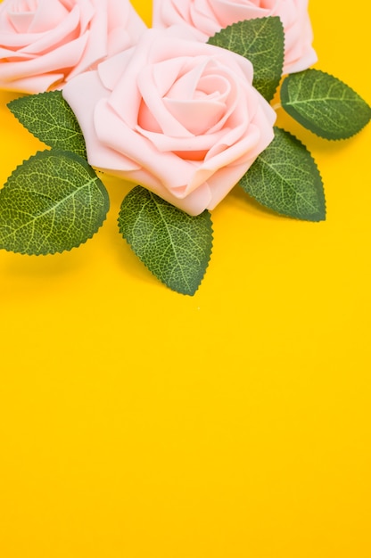 Primer plano vertical de rosas rosadas aislado sobre un fondo amarillo con espacio de copia
