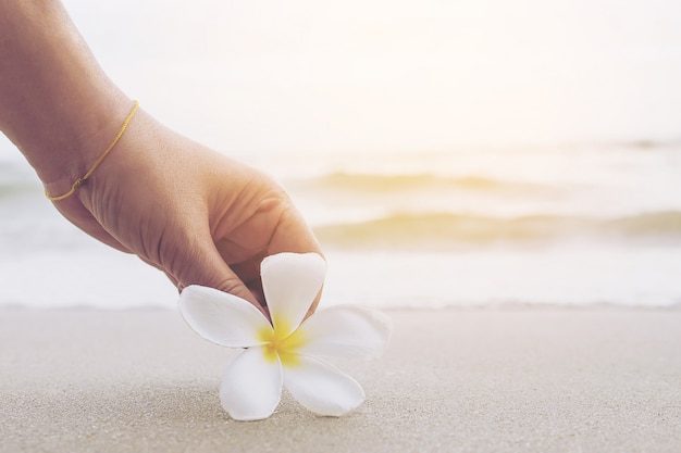 El primer de la señora está guardando la flor del plumeria en la playa de la arena