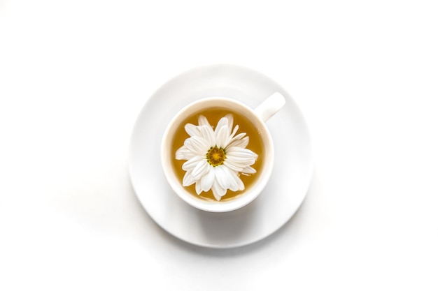 Primer té con flor de manzanilla aislado en blanco
