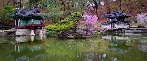 Foto gratuita principios de la primavera en buyongji pond, en los jardines del palacio changdeokgung