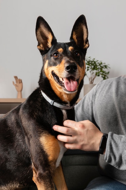 Propietario de cerca con lindo perro