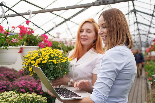 Propietario de invernadero presentando opciones de flores a un posible cliente minorista utilizando una computadora portátil.