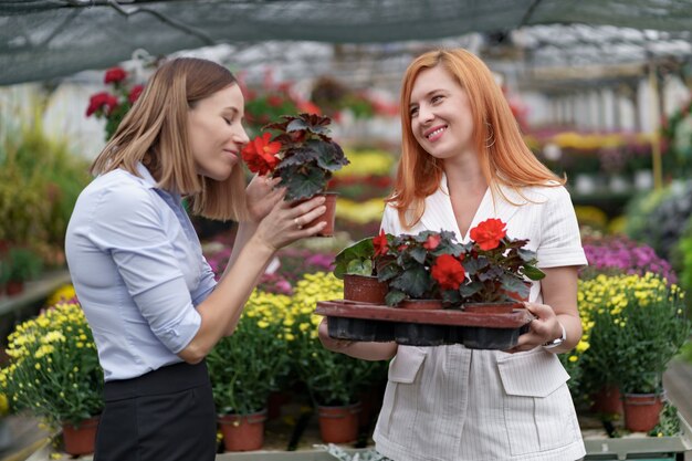 Propietario de invernadero presentando opciones de flores a un posible cliente minorista.