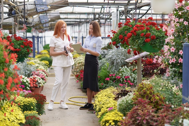 Propietario de invernadero presentando opciones de flores a un posible cliente minorista.