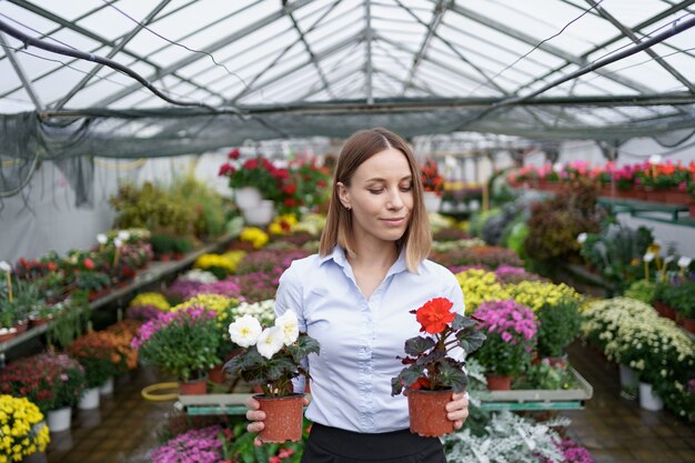 Propietario de negocio sonriente en su vivero de pie sosteniendo en las manos dos macetas con flores rojas y blancas en el invernadero