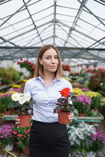 Propietario de negocio sonriente en su vivero de pie sosteniendo en las manos dos macetas con flores rojas y blancas en el invernadero