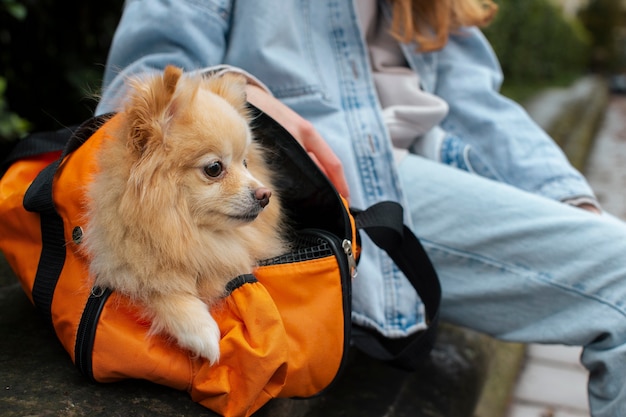 Propietario de vista lateral sentado cerca del perro