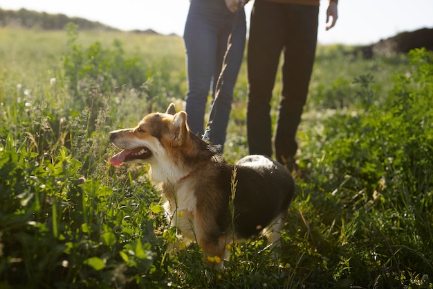 Propietarios de cerca con lindo perro