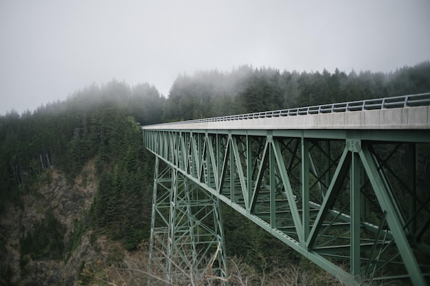 Puente de arco de acero verde en un bosque cubierto de niebla en un día sombrío