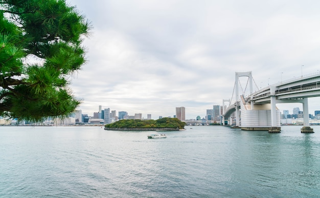 Foto gratuita puente del arco iris en odaiba, tokio