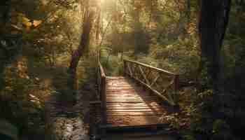 Foto gratuita un puente en el bosque con el sol brillando sobre él.