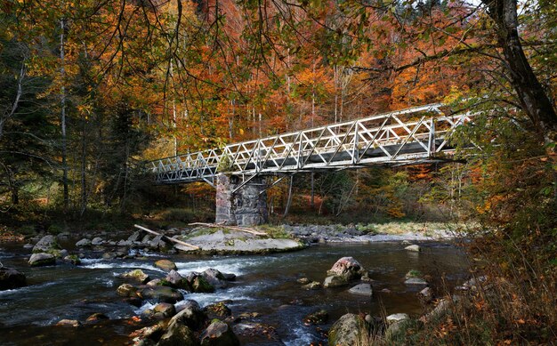 Puente gris sobre el agua