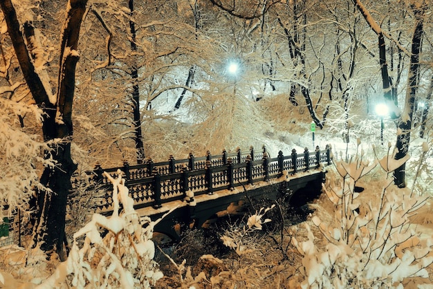 Puente de invierno de Central Park en el centro de Manhattan, Nueva York