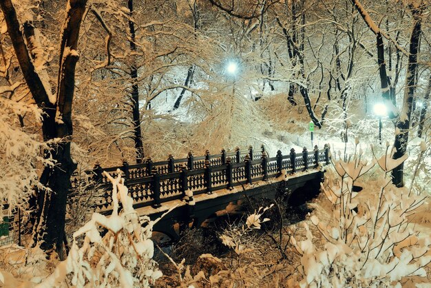 Puente de invierno de Central Park en el centro de Manhattan, Nueva York