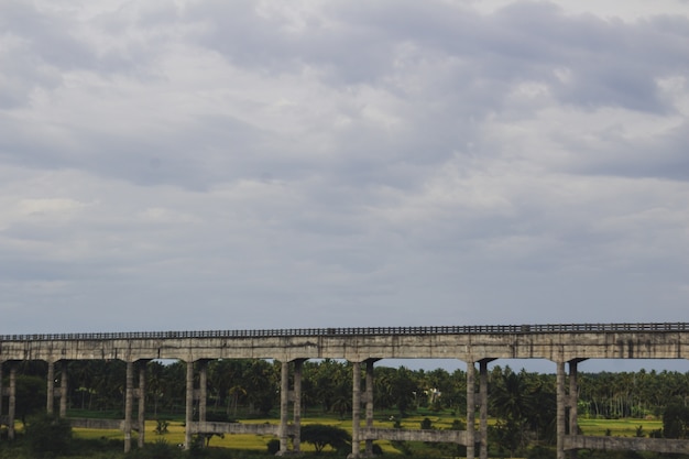 Puente largo