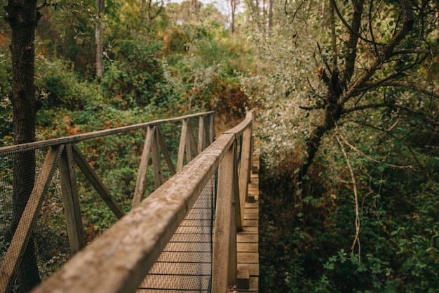 Puente de madera en naturaleza