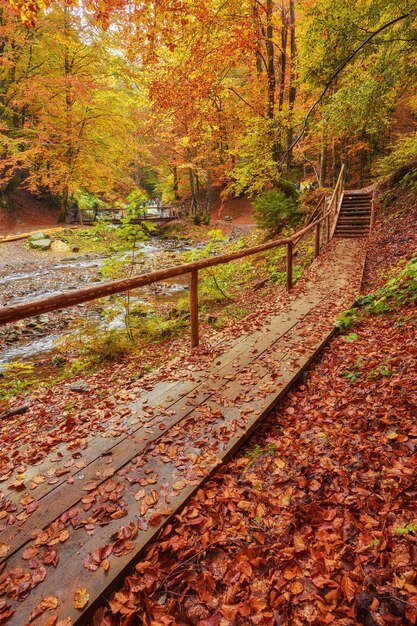 Puente de madera del paisaje de otoño en el parque de otoño