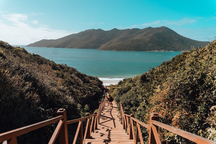 Foto gratuito puente de madera rodeado por el mar y colinas cubiertas de vegetación bajo un cielo azul en brasil
