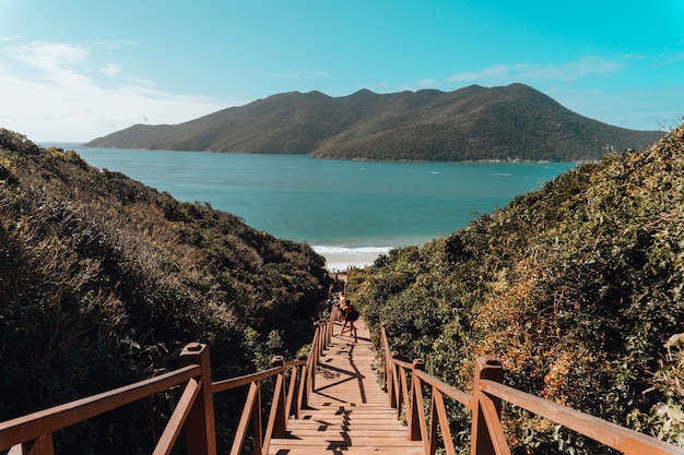 Puente de madera rodeado por el mar y colinas cubiertas de vegetación bajo un cielo azul en Brasil