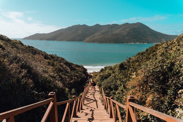 Puente de madera rodeado por el mar y colinas cubiertas de vegetación bajo un cielo azul en Brasil