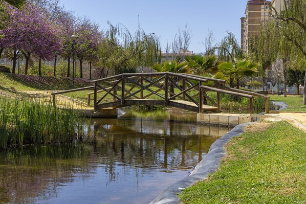 Puente de madera sobre un río en un parque en Málaga, Paisaje