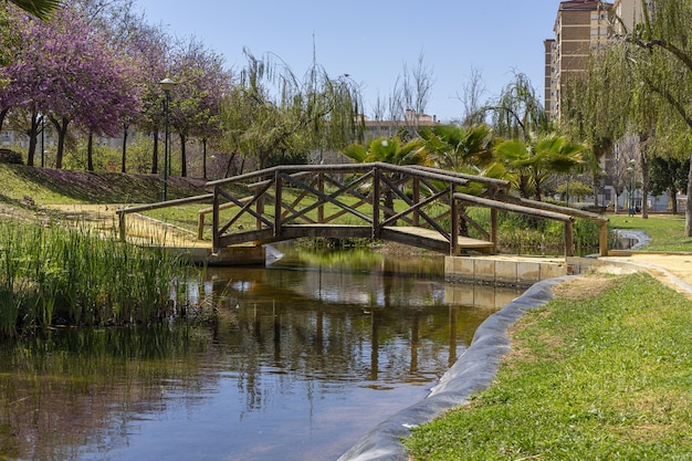 Puente de madera sobre un río en un parque en Málaga, Paisaje