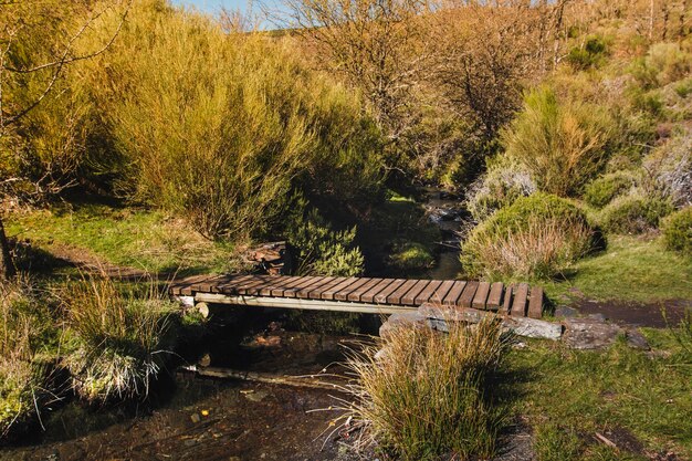 Puente de madera sobre río pequeño