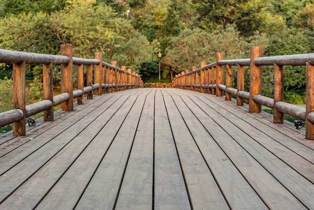 Puente de madera con vegetación de fondo