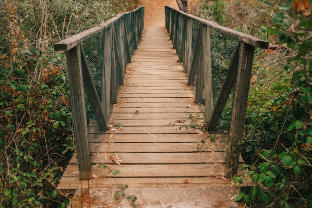 Puente en naturaleza