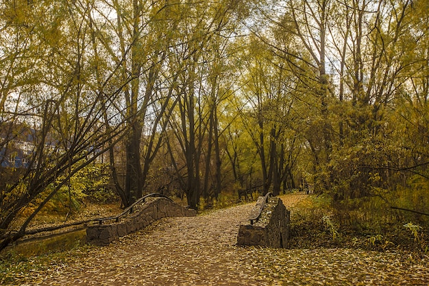 Puente sobre el agua en medio de árboles de hojas verdes en el parque Rostrkino en Rusia