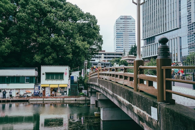 Puente sobre el río en la ciudad.