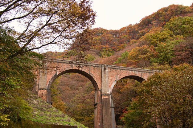 Puente en el Usui Pass Annaka en Japón