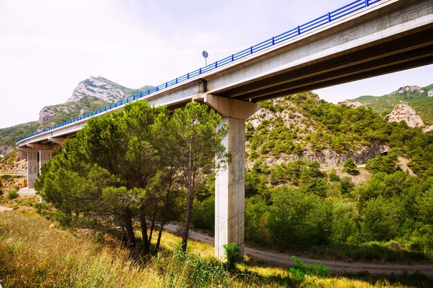 Puentes viales en las montañas