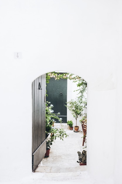 Puerta de madera negra cerca de la planta verde