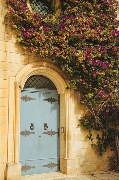 Puerta metálica de un antiguo edificio blanco decorado con una planta con flores de color púrpura