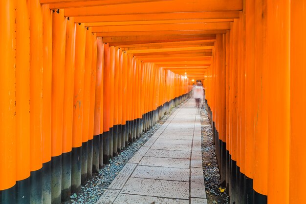 Puerta tori